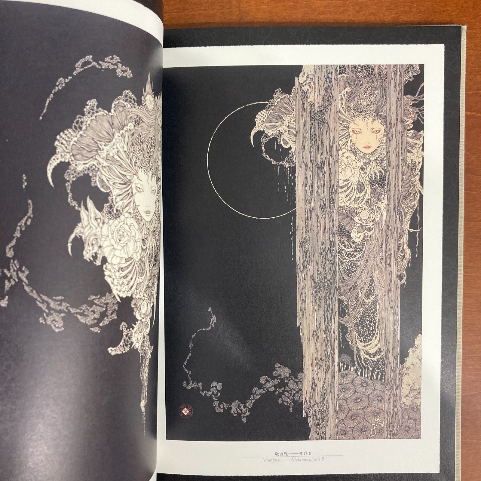 Takato Yamamoto Rib of a Hermaphrodite Art Book Illustration