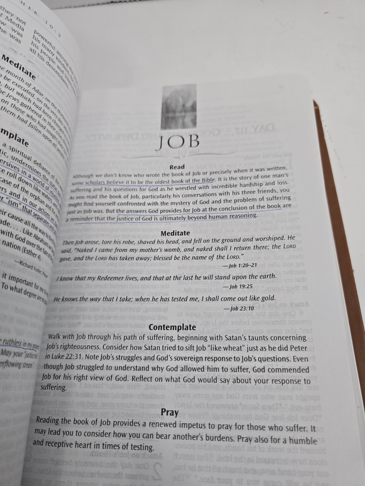 The NRSV Daily Bible: Read Meditate & Pray Through The Entire Bible 2012 1st Ed.