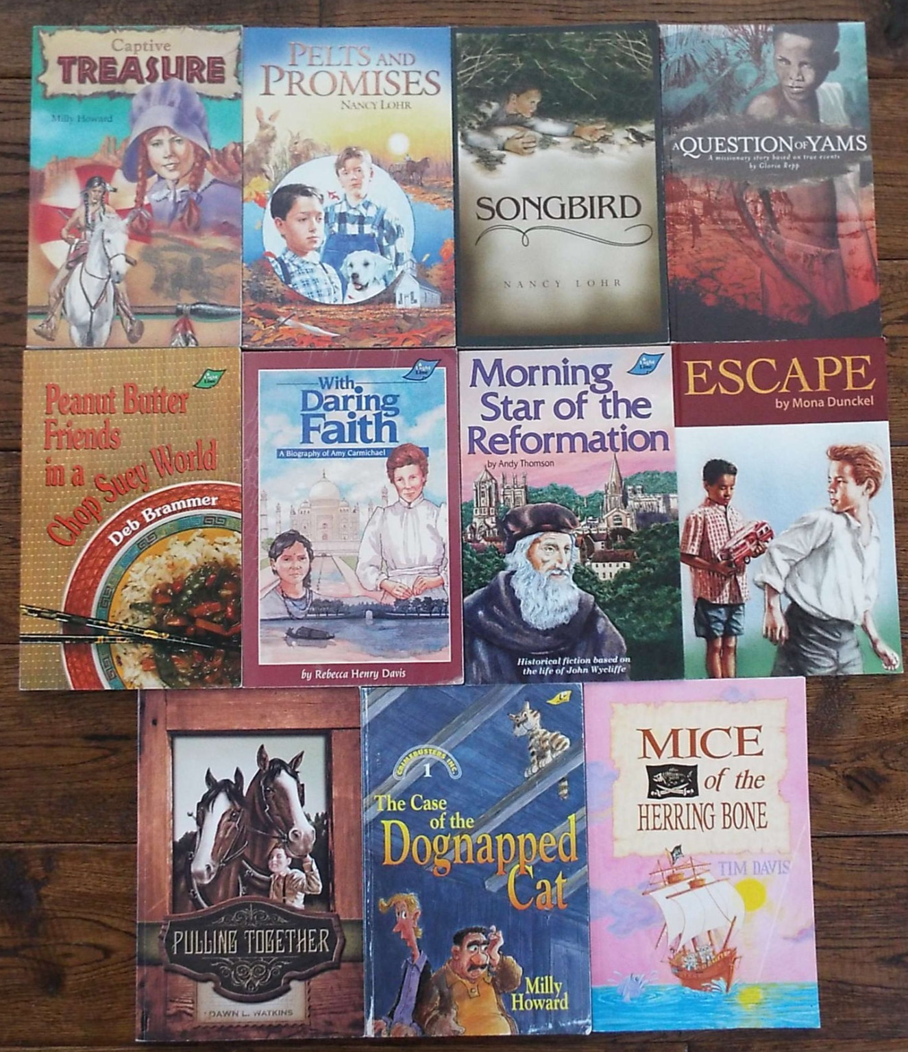 Lot 11 BJU Press Journey Forth Novels Literature Books