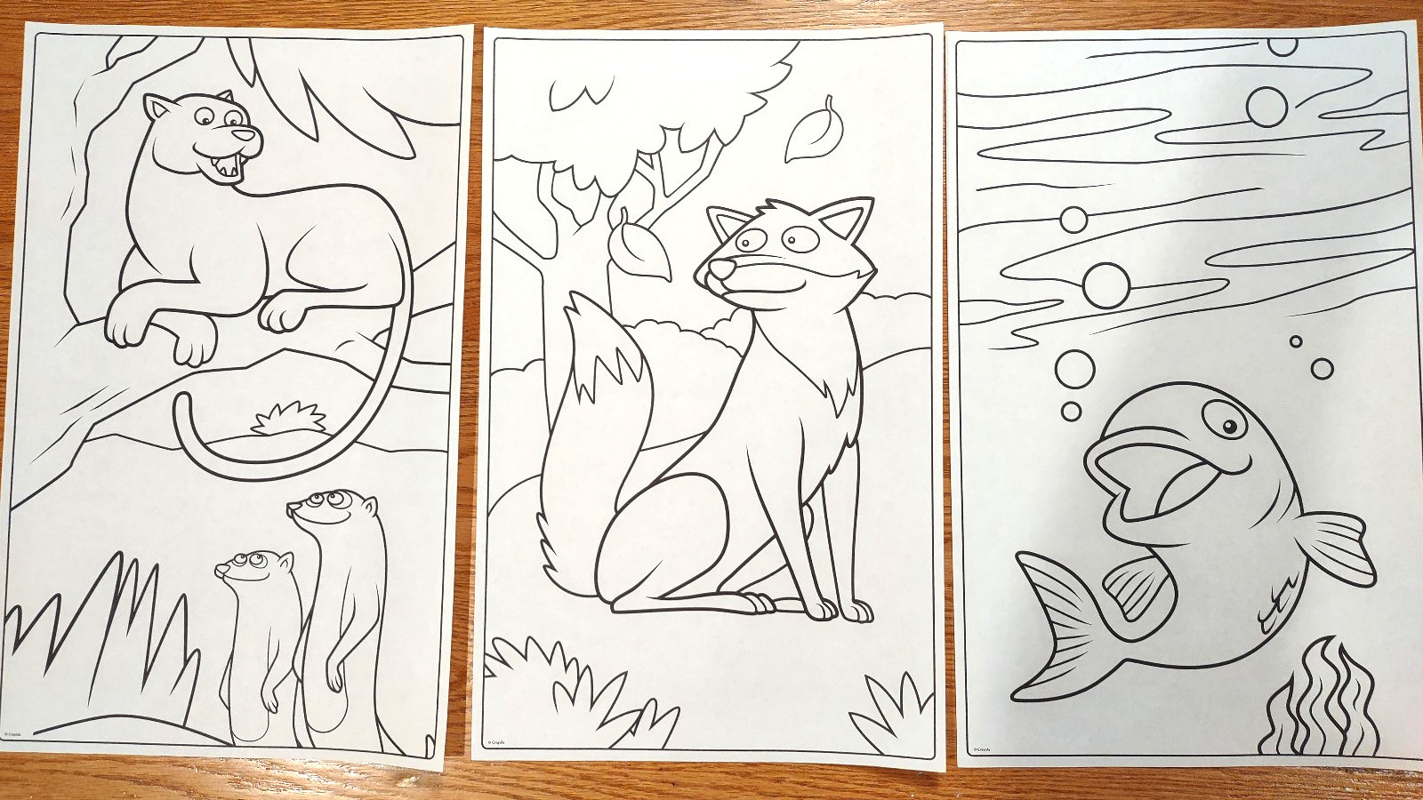 Crayola Giant 20 Coloring Pages Book Animals 10.5 in W X 17 in Long – 18 Pages