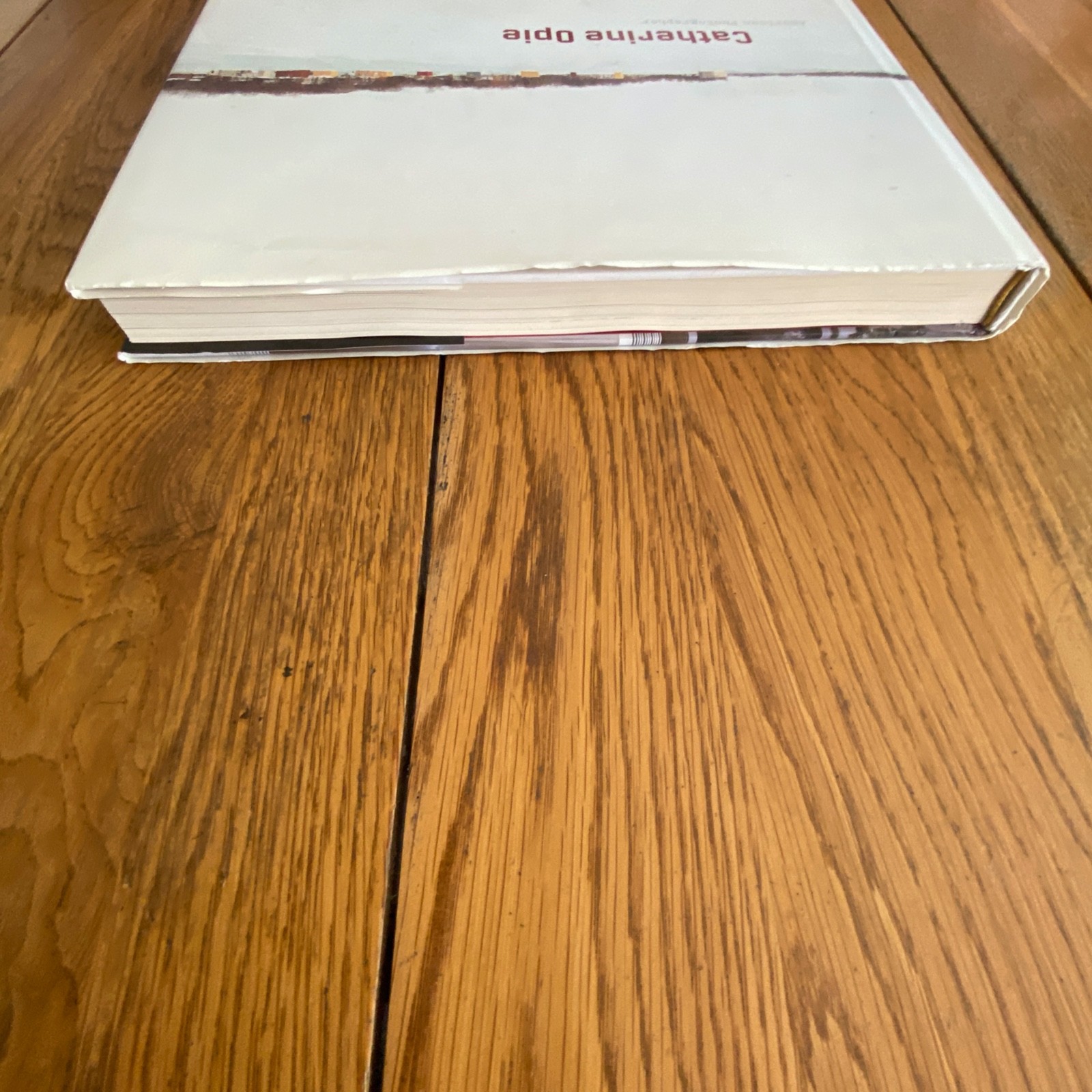 Catherine Opie: American Photographer Hardcover 2008