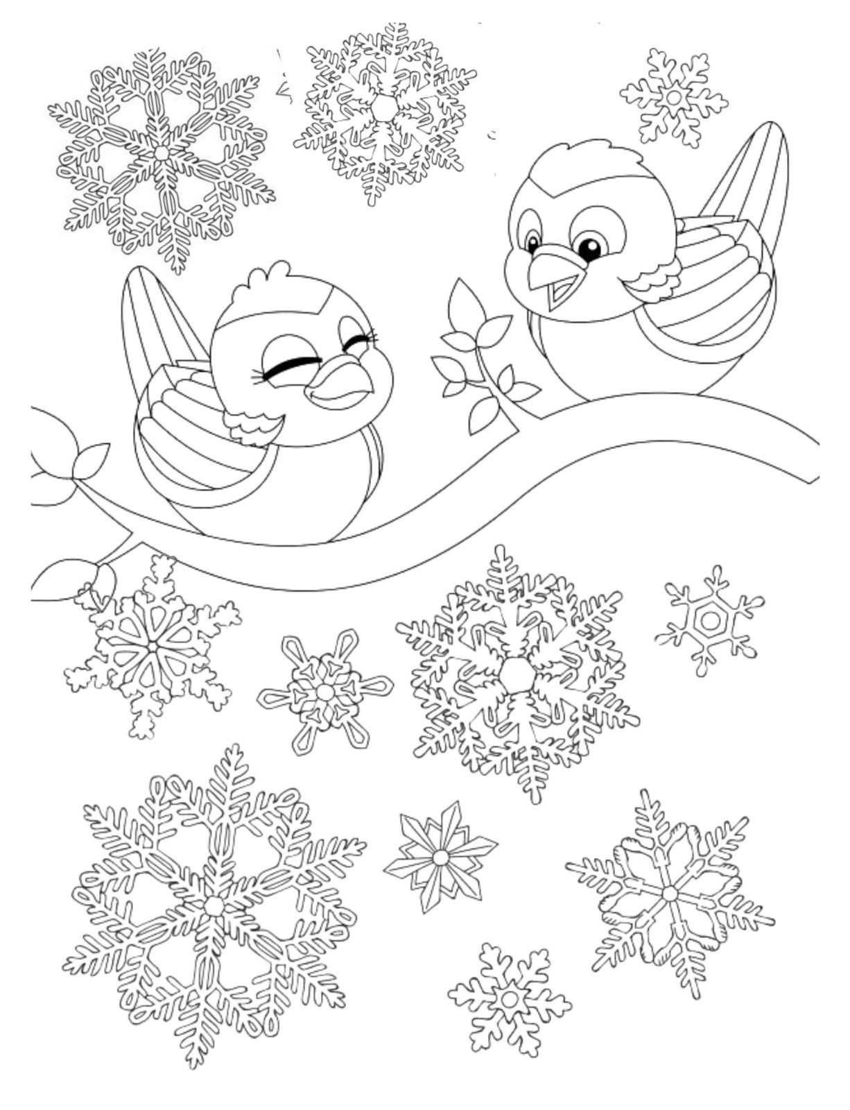 SnowFlakes are Falling Coloring Book All Ages 108 Pages 8.5 x 11 for All Ages