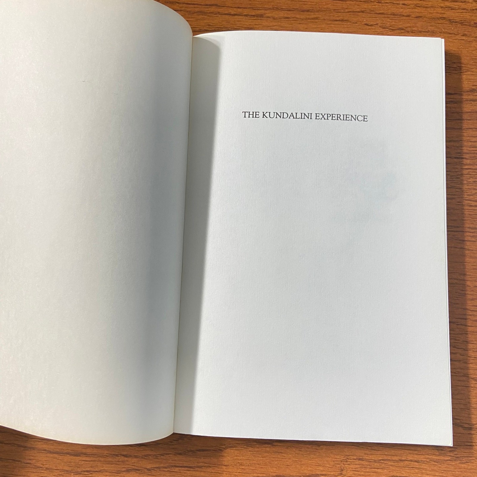 The Kundalini Experience: Psychosis or Transcendence by Lee Sannella, MD 1992 SC