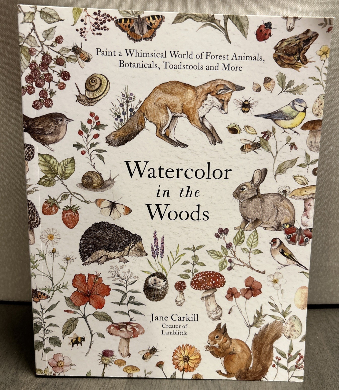 Watercolor in the Woods By Jane Carkill Paint Whimsical World Of Forest Animals