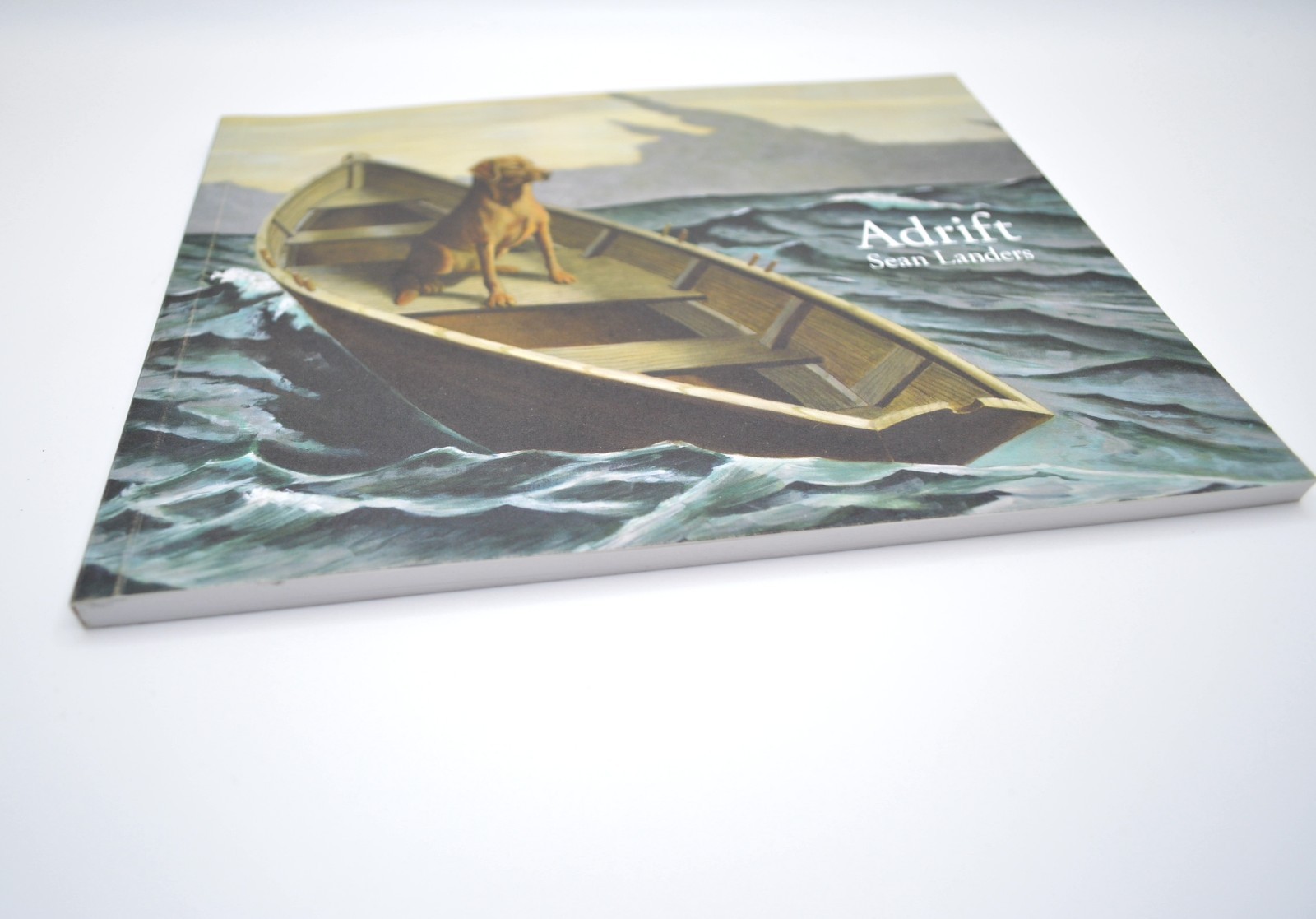 Sean Landers, Adrift, Softcover, Artist Exhibition Catalog, 2023, New