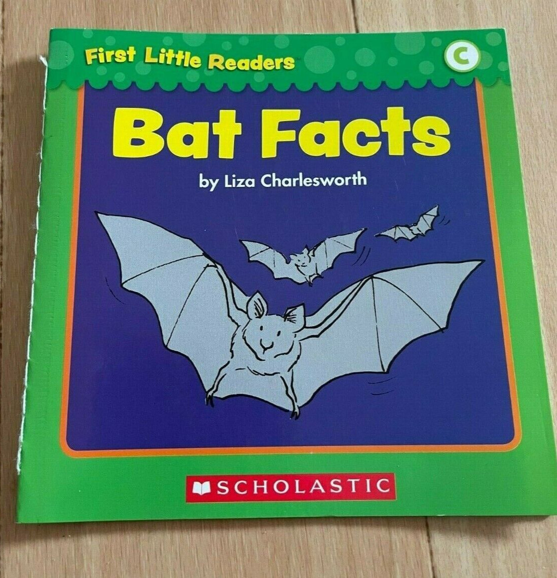 FIRST LITTLE READERS, LIZ CHARLESWORTH, BAT FACTS, 14 by 14CM