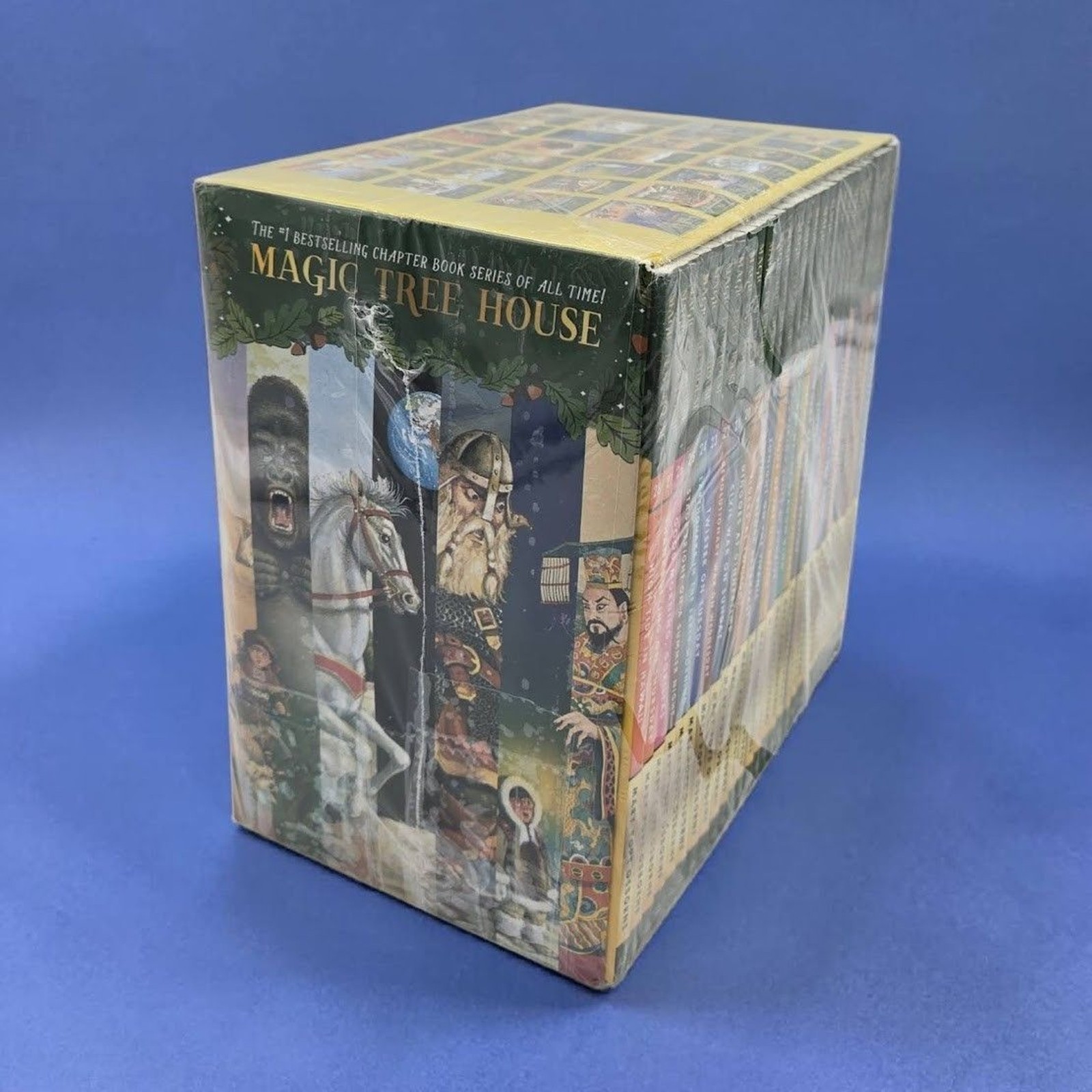 Set 1B: Magic Tree House A Library of Books 1-28 – Mary Pope Osborne Collection