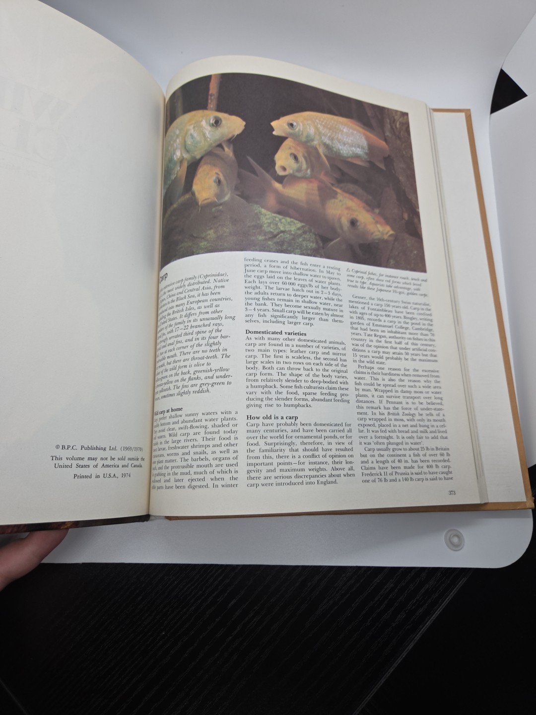 Vintage Funk and & Wagnalls Wildlife Encyclopedia Volume 4 Hardcover 1974