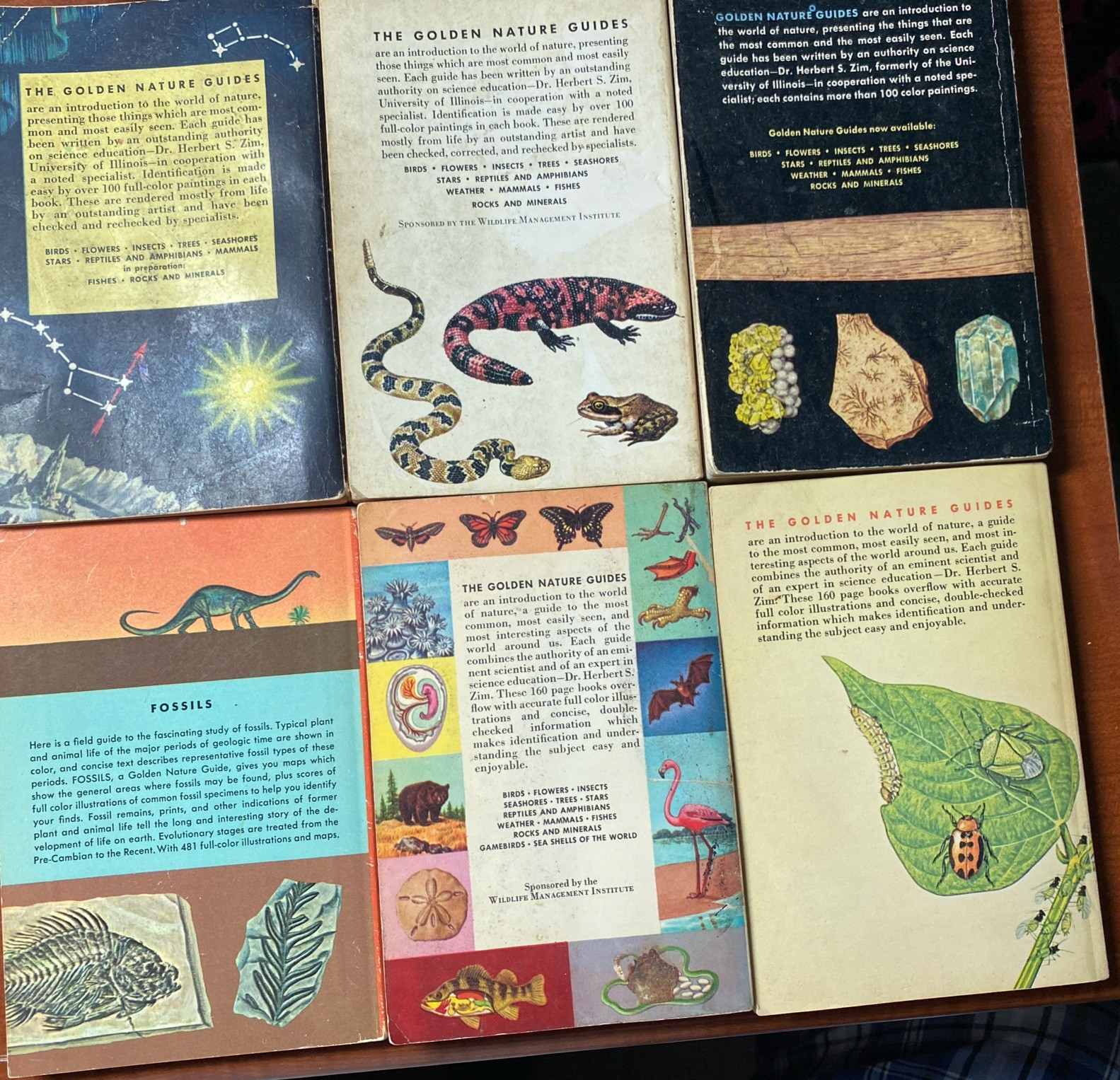 Lot Of 6 Vintage Golden Nature Guides-Small Booklets-Insets pest stars rock ETC