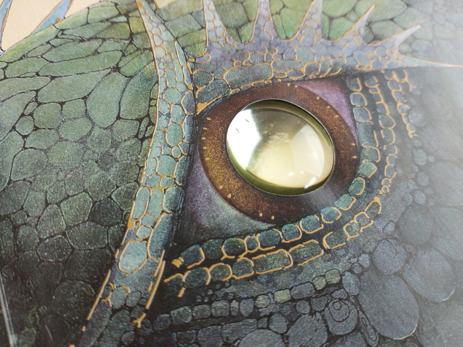 Ologies Ser.: Dragonology : The Complete Book of Dragons by Ernest Drake (2003,