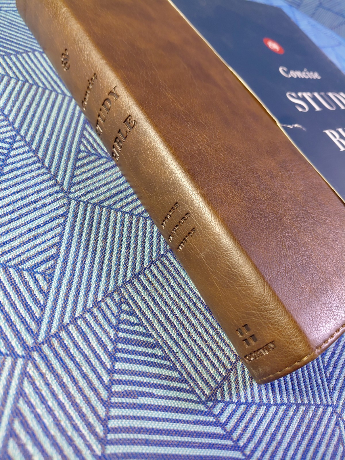 ESV Concise Study Bible (TruTone, Brown): Holy Bible, English Standard Versi…