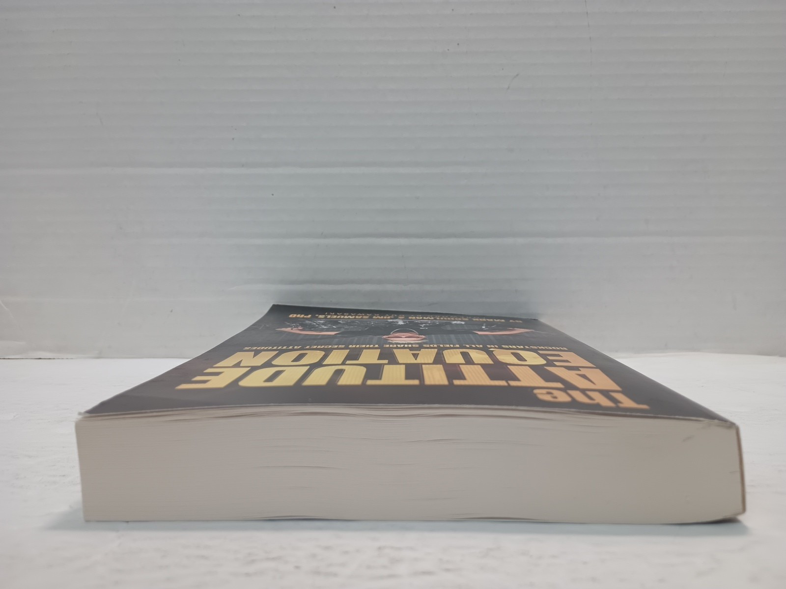 THE ATTITUDE EQUATION by Mark Schulman & Jim Samuels, PhD (2024, Pb)