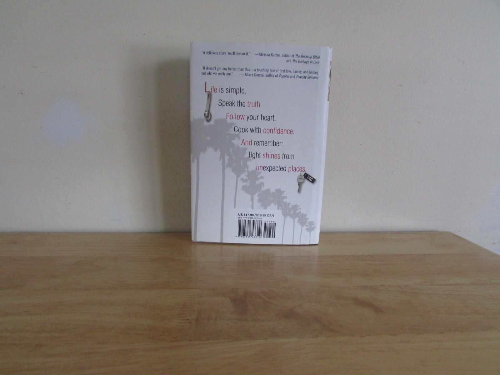 The Secret Ingredient by Stewart Lewis Hardcover Novel Dust Jacket Young Adult