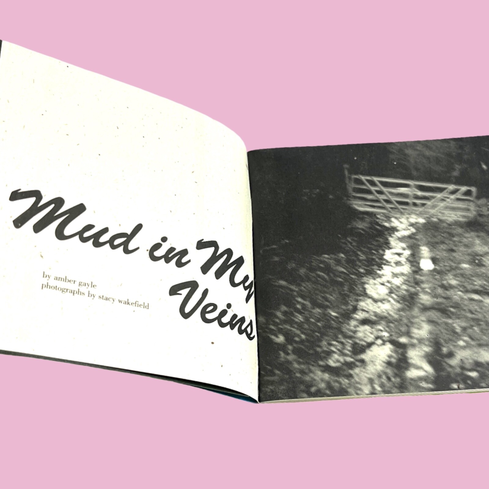 Amber Gayle- Mud In My Veins (1998) Evil Twin Publications Rare Zine See Photos