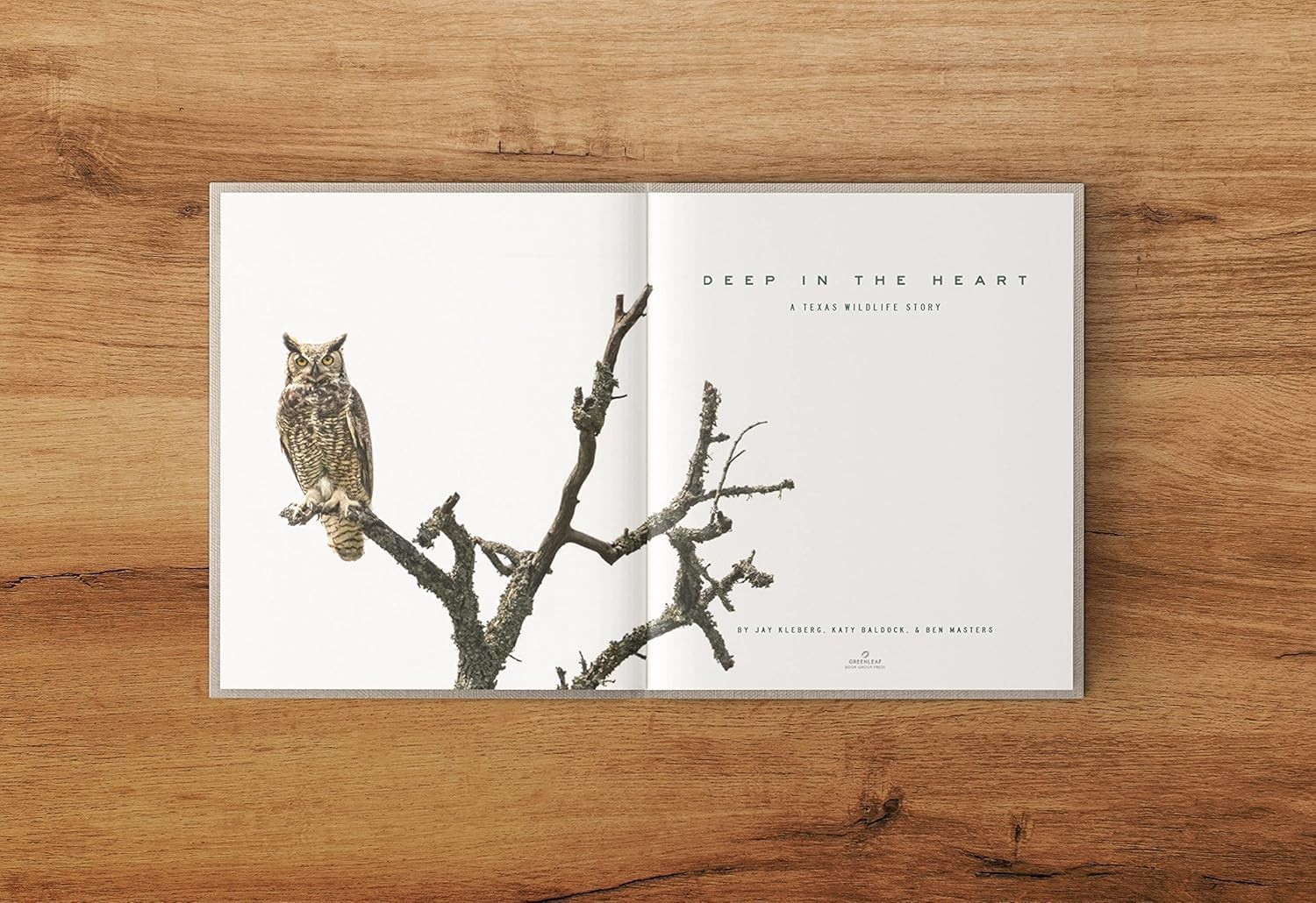Deep in the Heart: A Texas Wildlife Story by Ben Masters