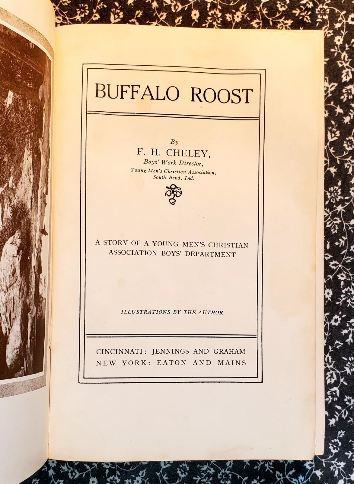 Buffalo Roost, F. H. Cheley, 1913, First Edition, Hardcover, Antique