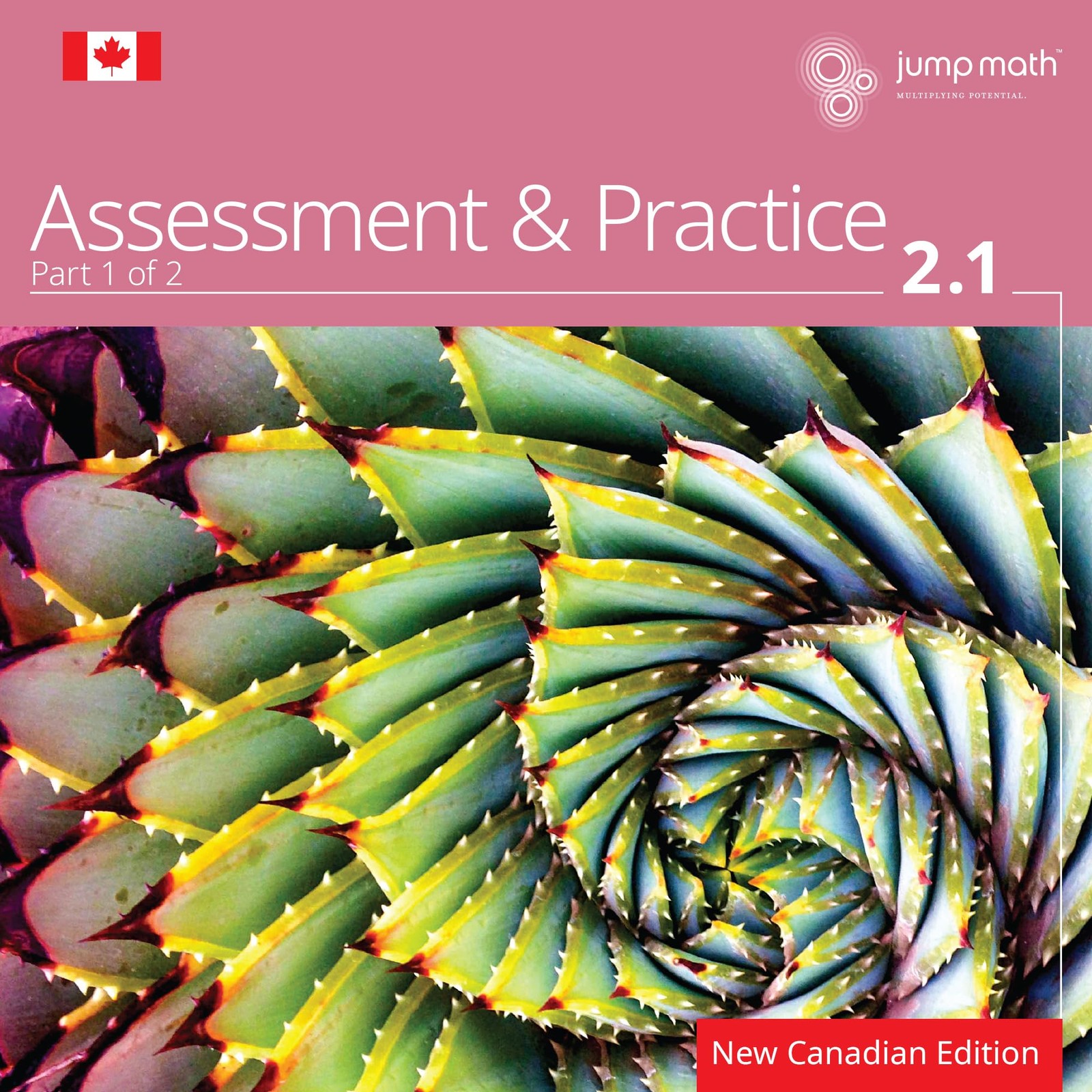 JUMP Math AP Book 2.1: New Canadian Edition – paperback Mighton, John