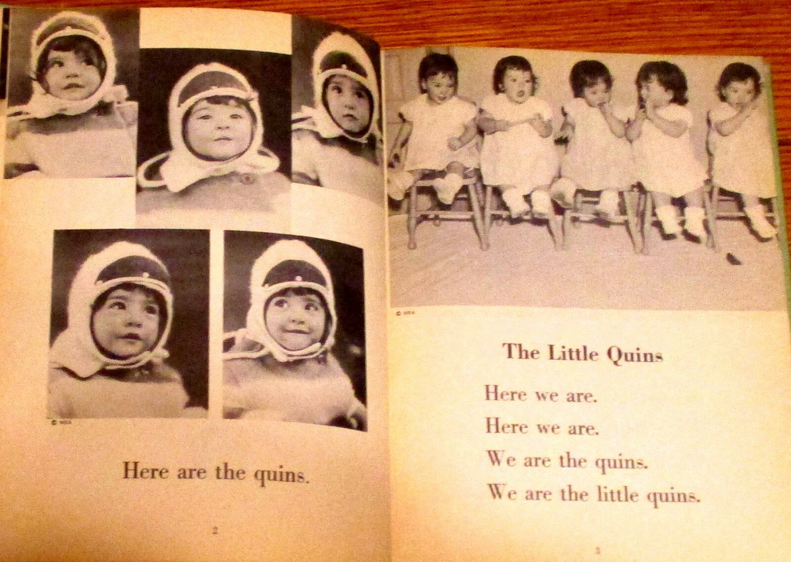 The Quins‘ Book SIGNED by Jean Ayer 1937 114 Pages H/C Photograph Book RARE!!