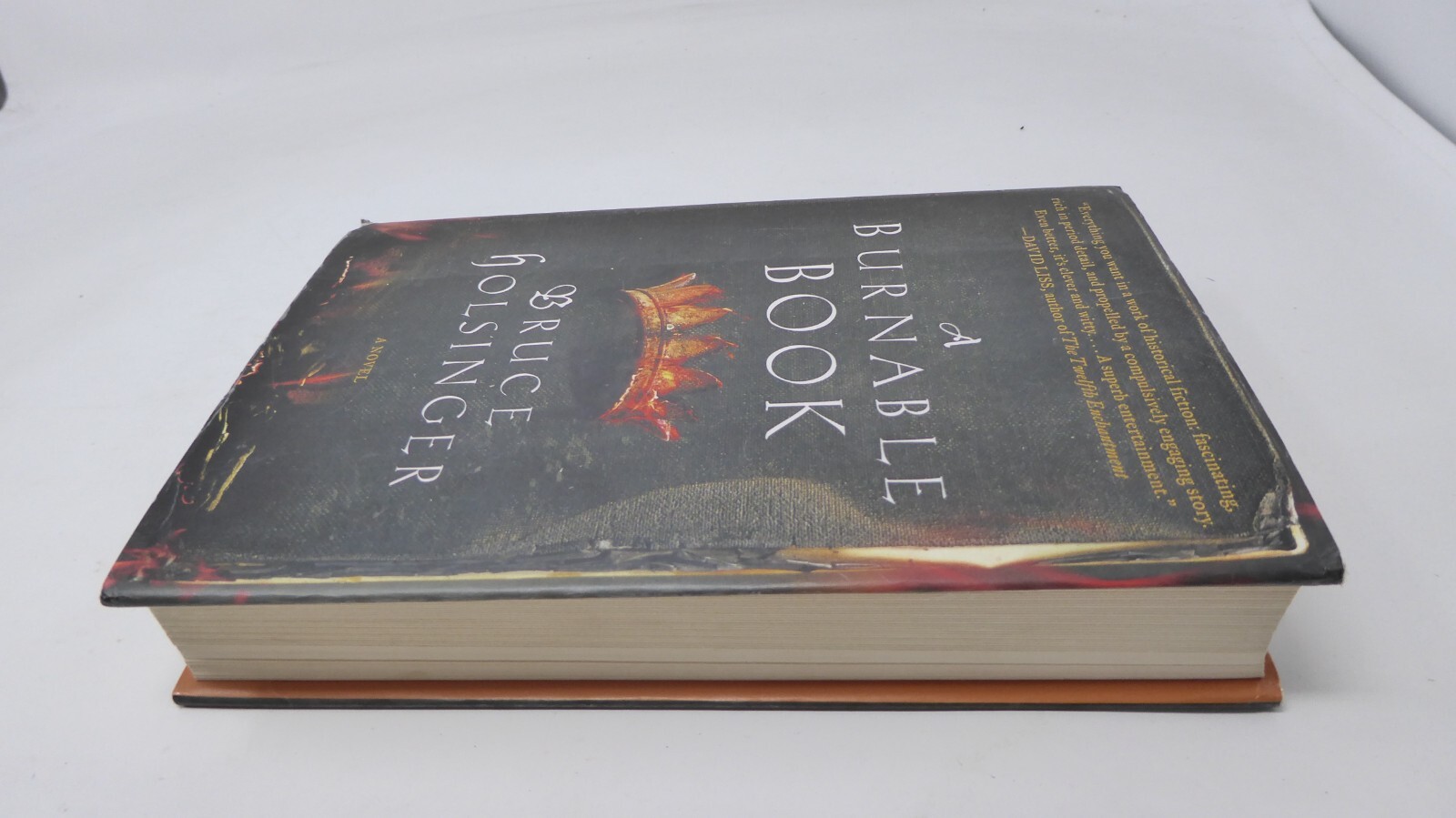 *SIGNED* A Burnable Book : A Novel by Bruce Holsinger (2014, Hardcover)