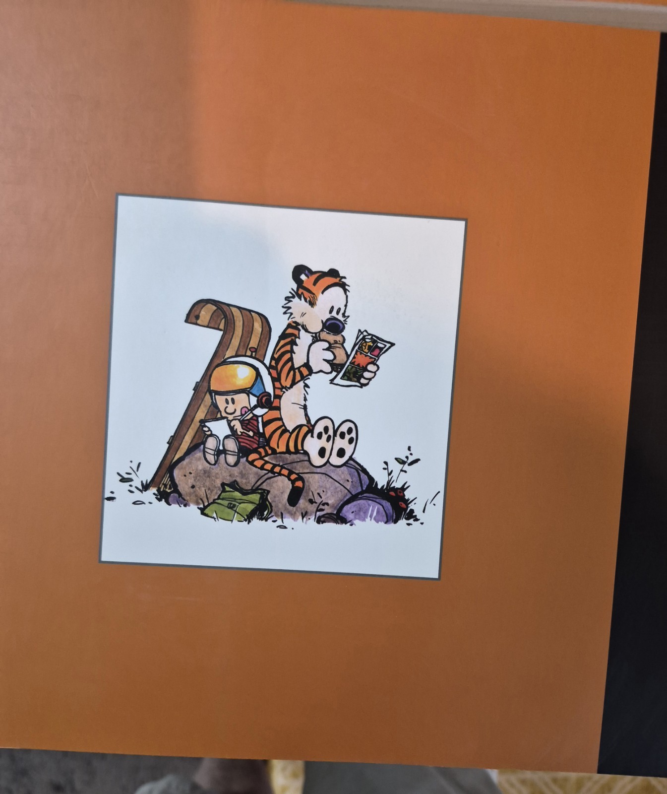 The Complete Calvin and Hobbes • 4 Book Box Set (Paperback)