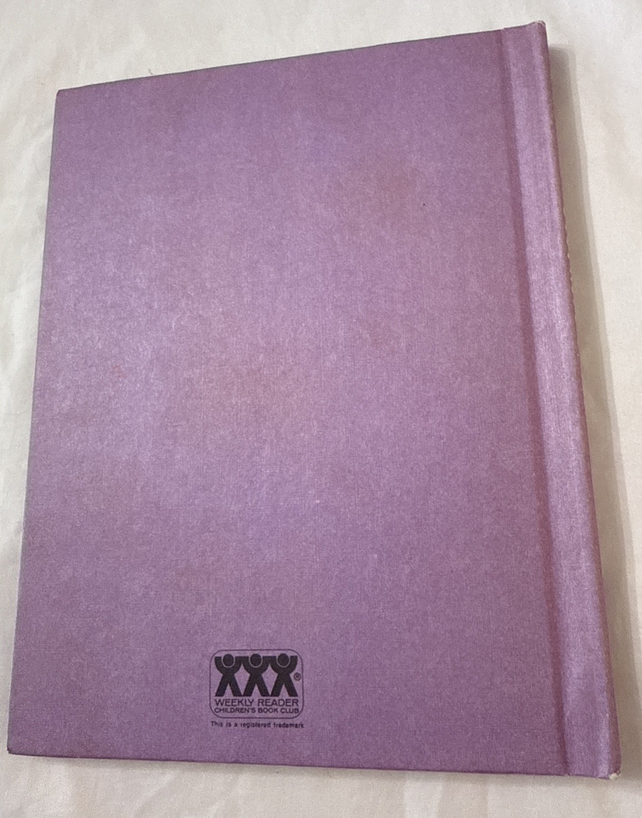 1973 „The Case Of The Elevator Duck“ by Polly Berrien Berends Hardcover Book