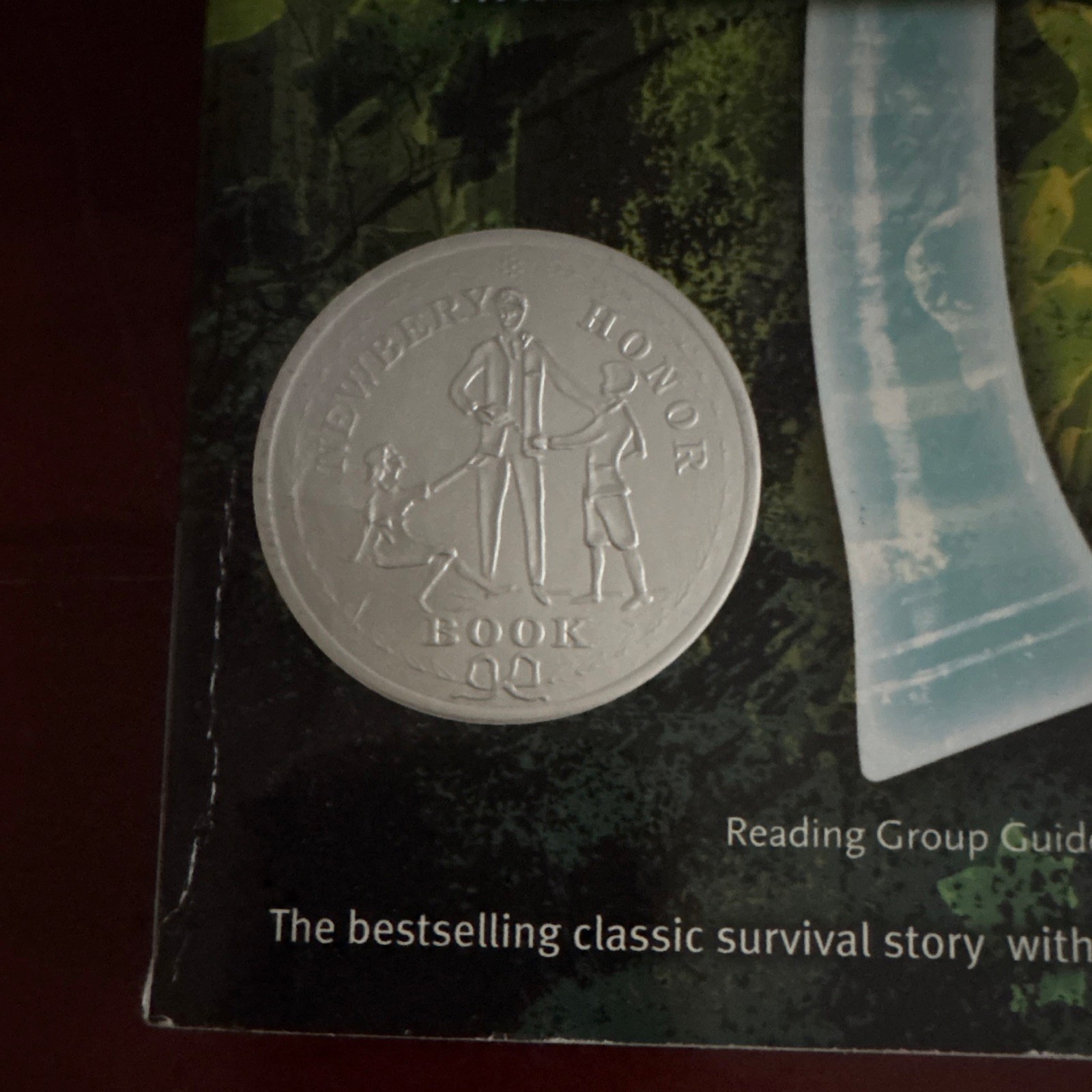 Gary Paulsen Hatchet 2006 Trade Paperback Simon & Schuster Survival Fiction