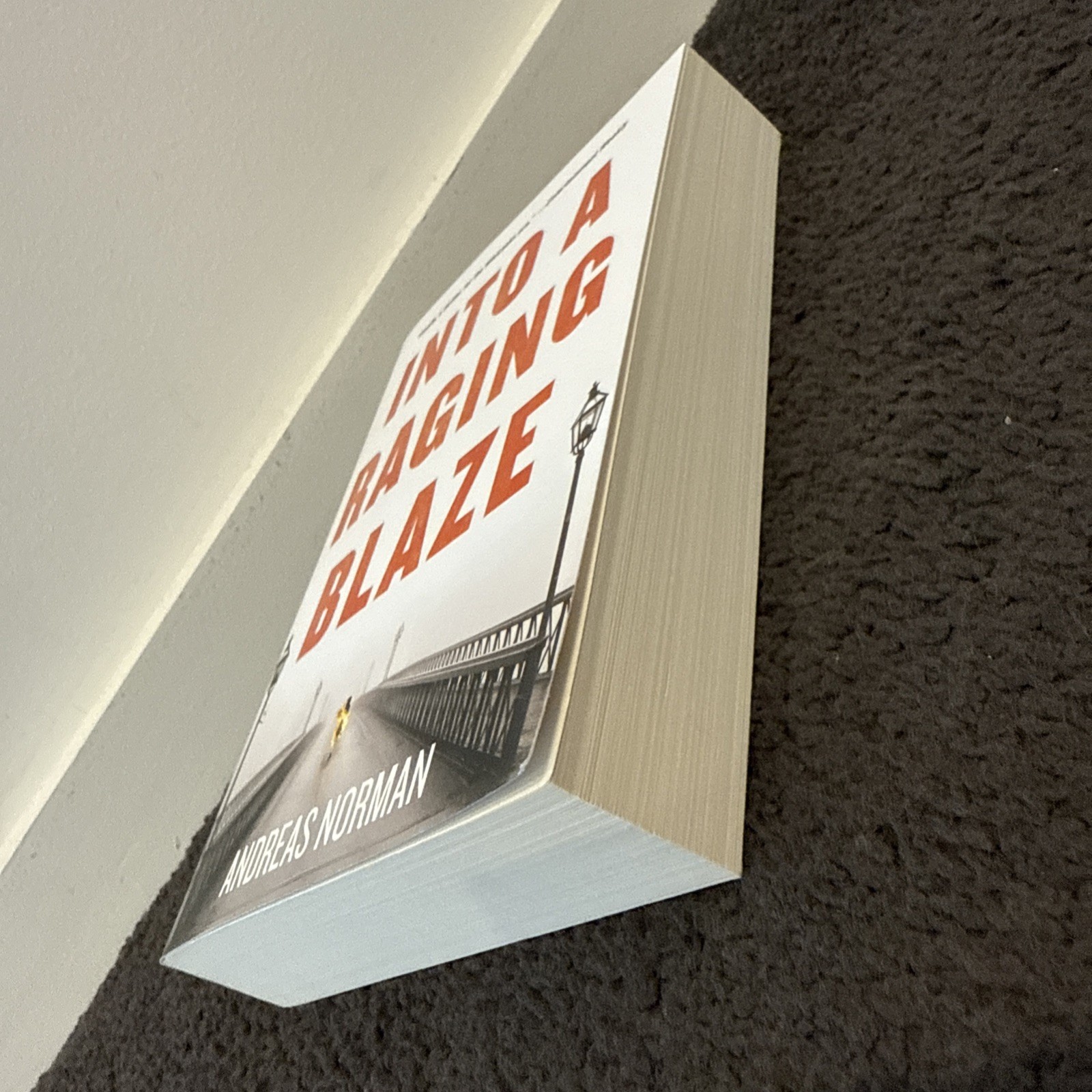 Into A Raging Blaze by Andreas Norman (Paperback, 2014)
