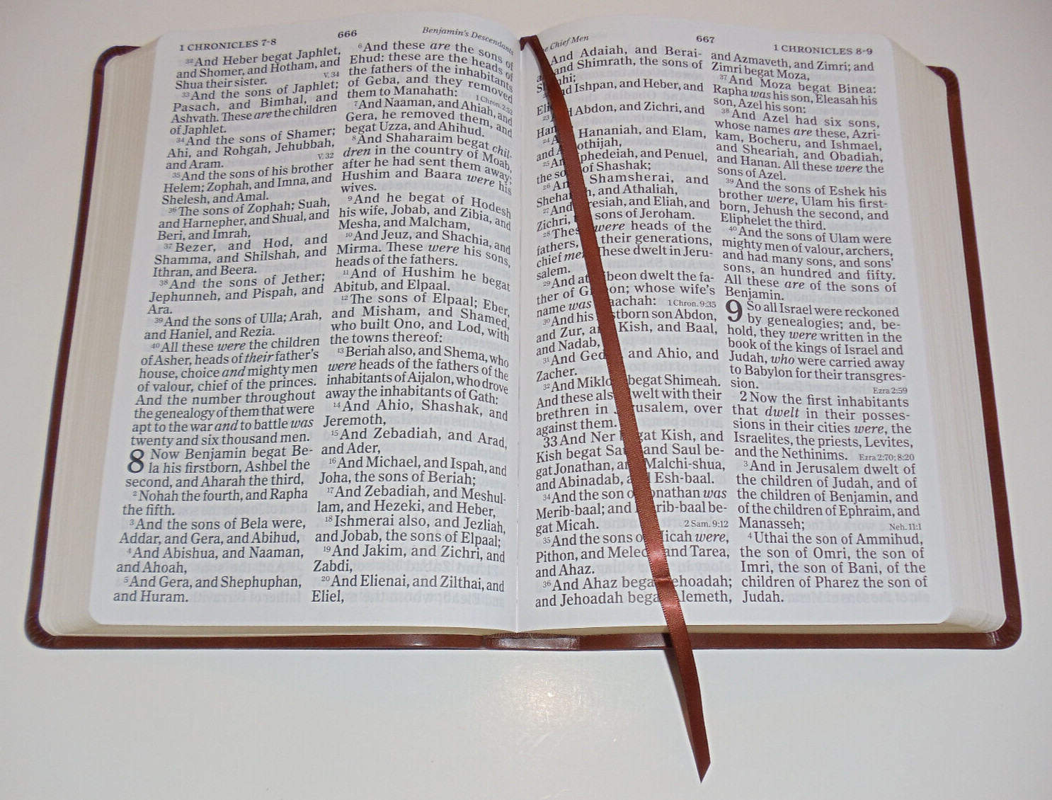 KJV Bible, Large Super Giant Print 16-Pt, Brown Leather-Touch King James Version