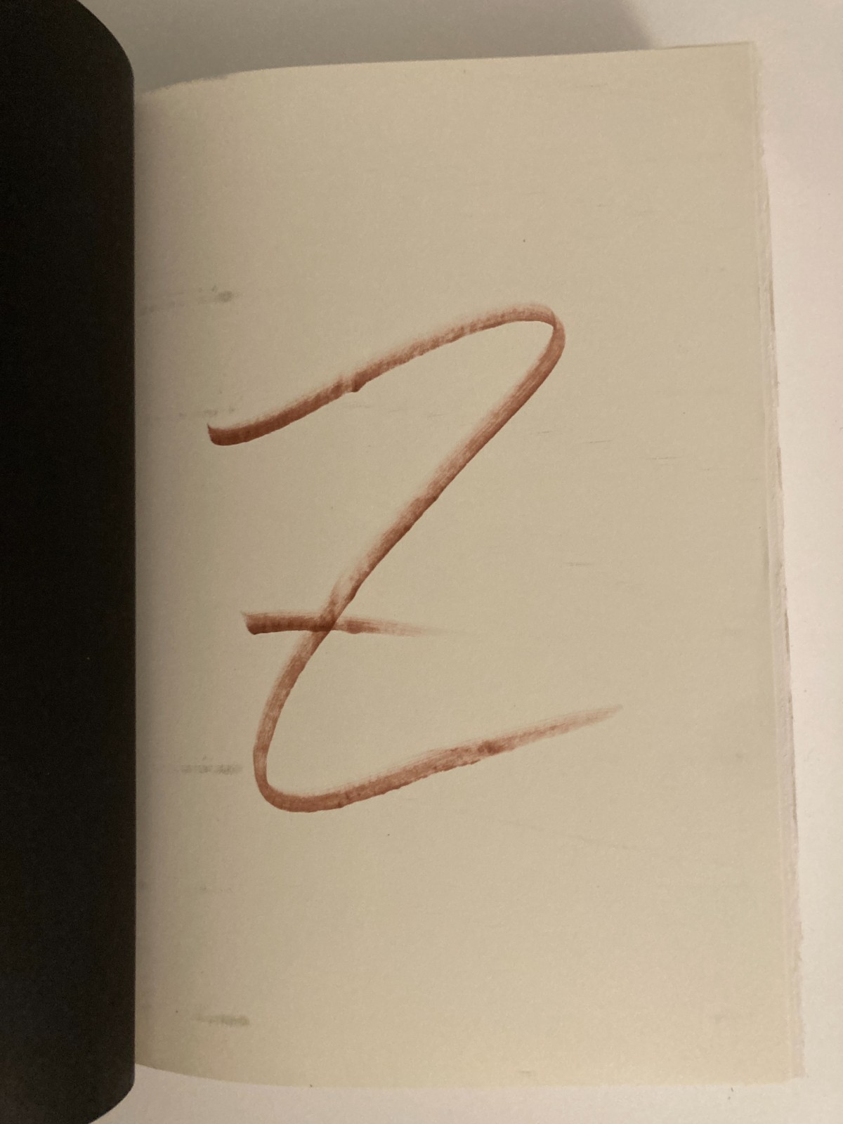 Tom’s Crossing: A Novel by Mark Z. Danielewski 2025 HC SIGNED 1st w/Art Print