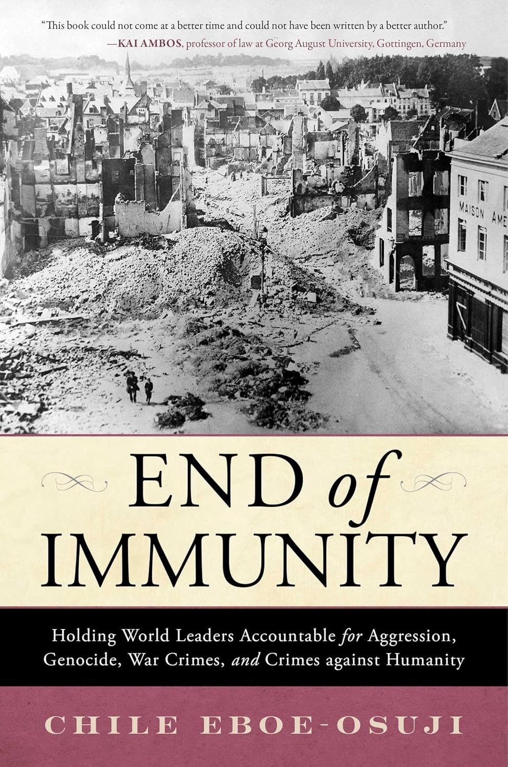 End of Immunity : Holding World Leaders Accountable for Aggression, Genocide,…