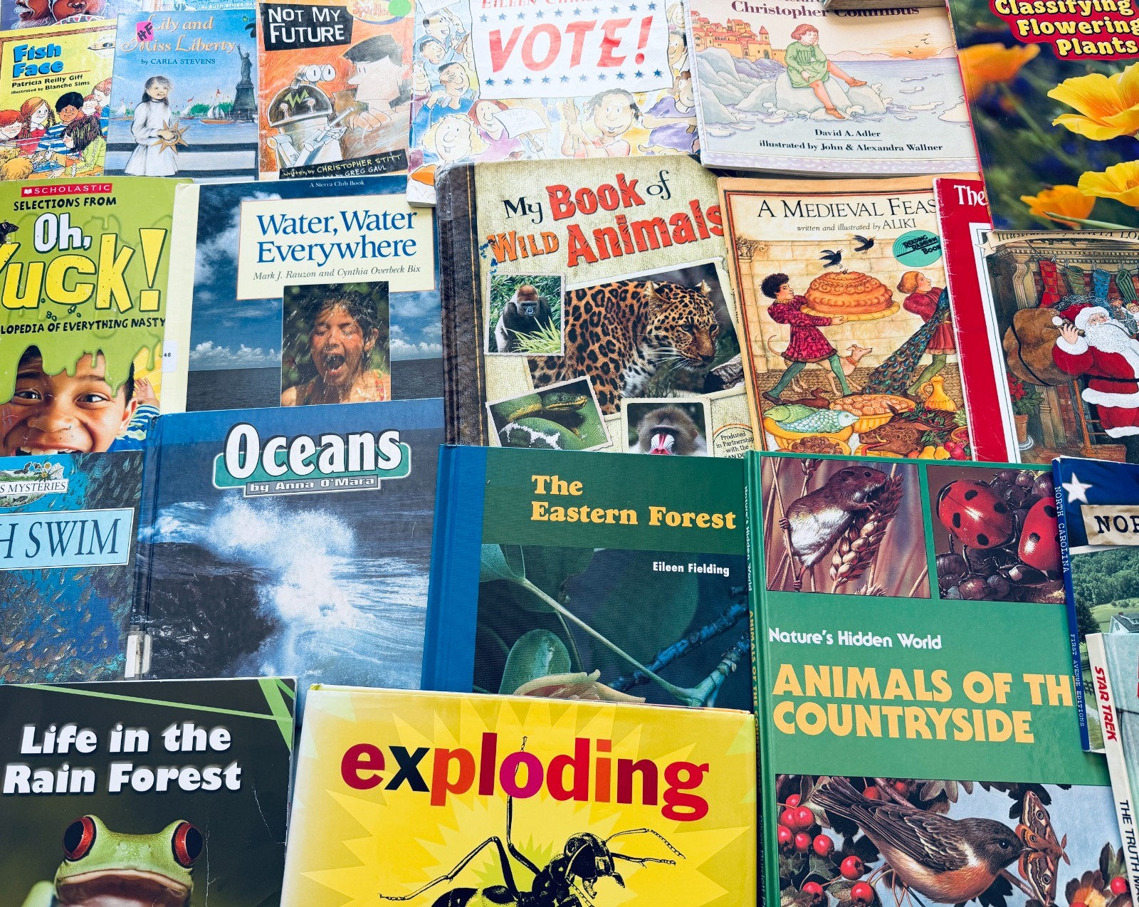 Lot of 10 Random Children’s Books, Grades 2-3, Homeschool Library/Teacher Librar