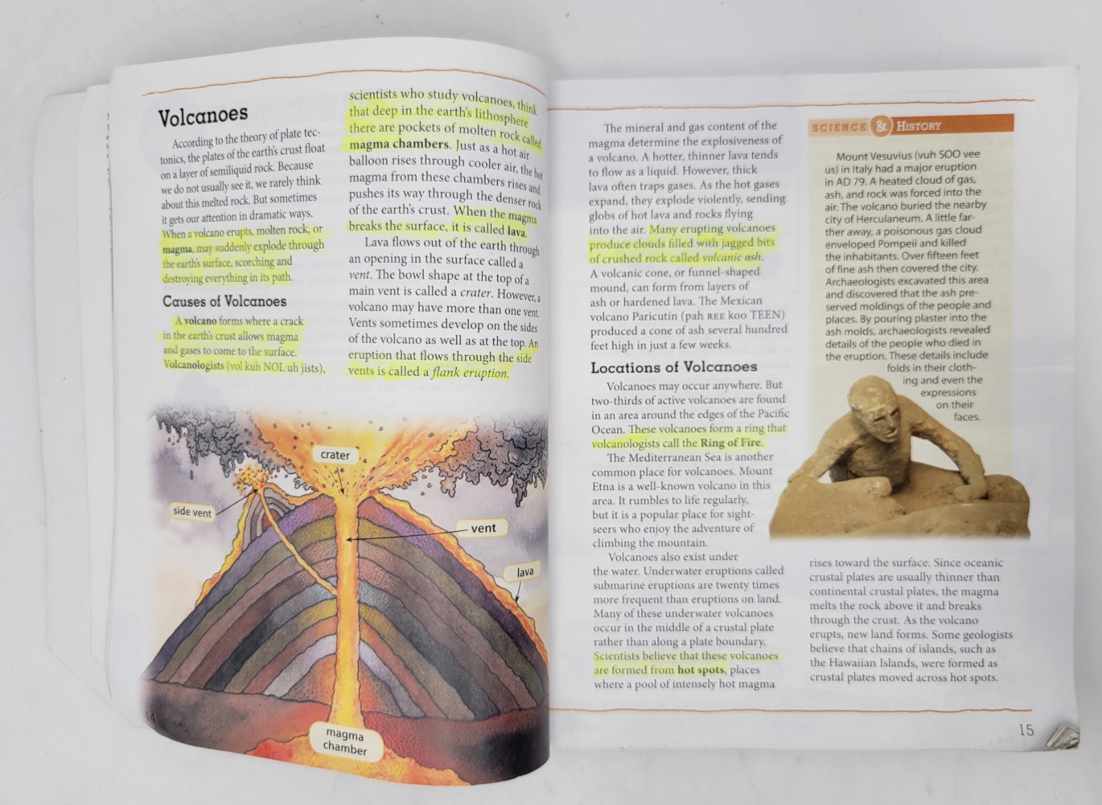 BJU Press Science 6 Student Text (4th ed.) 522391 Well Used