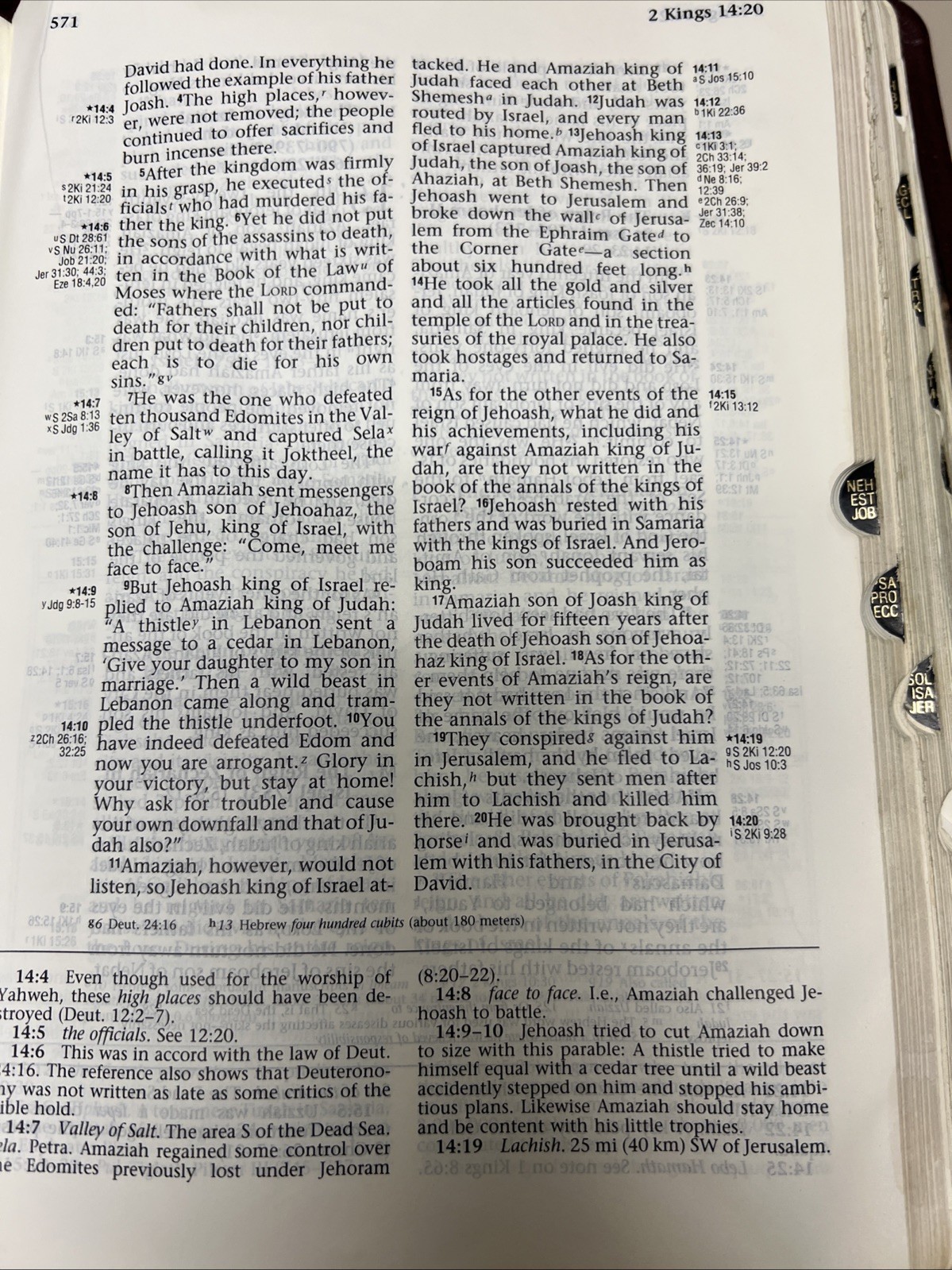 ✝️ NIV Ryrie Study Bible 1994 Text THUMB INDEXED 1994 Bonded Leather