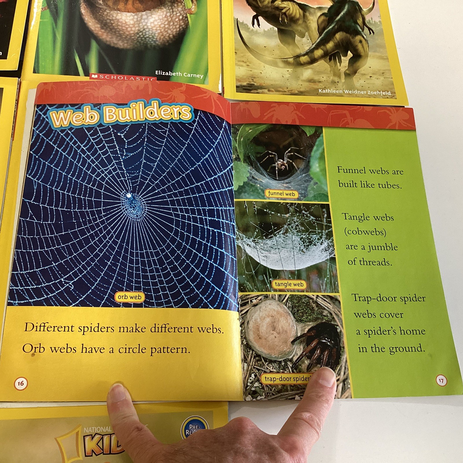 National Geographic Level 1 & 2 Readers Kindergarten 1st 2nd Grade 11 Book Lot