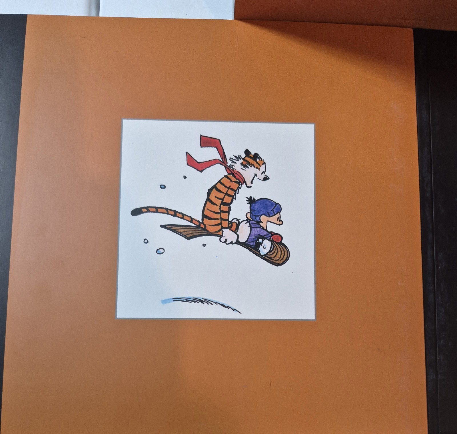 The Complete Calvin and Hobbes • 4 Book Box Set (Paperback)