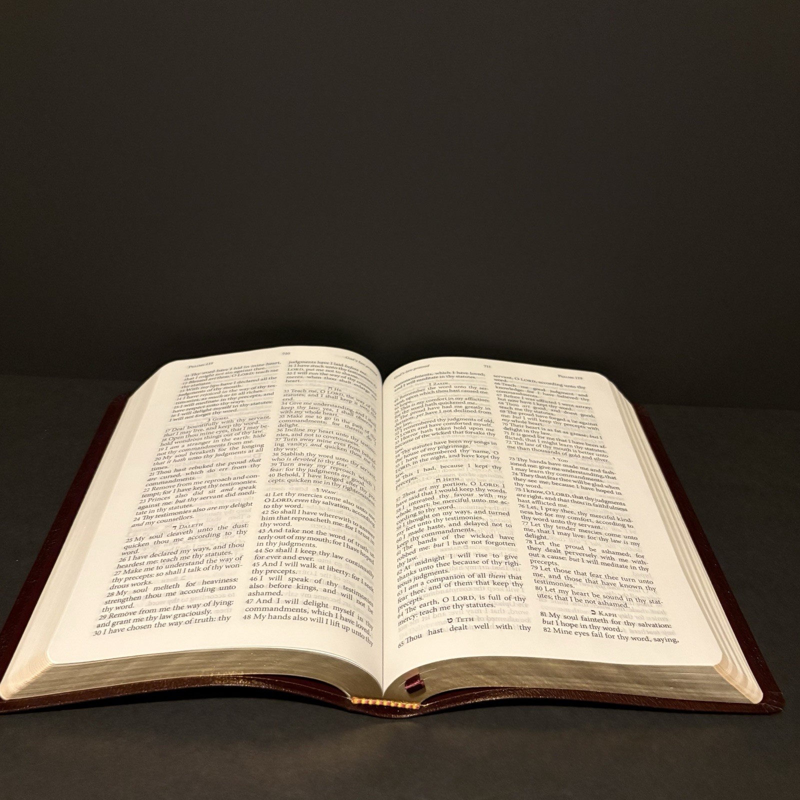 The Jack Van Impe Prophecy Bible New Third Edition KJV Bonded Burgundy Leather