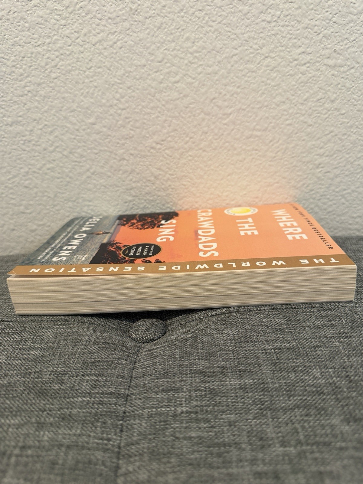 Where the Crawdads Sing – Paperback By Owens, Delia – GOOD