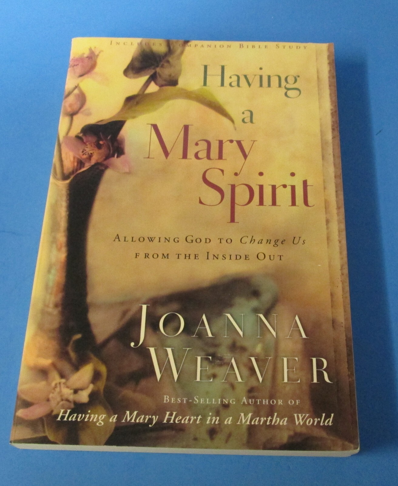 2006 1st edition religious PB Having A Mary Spirit by Joanna Weaver rj