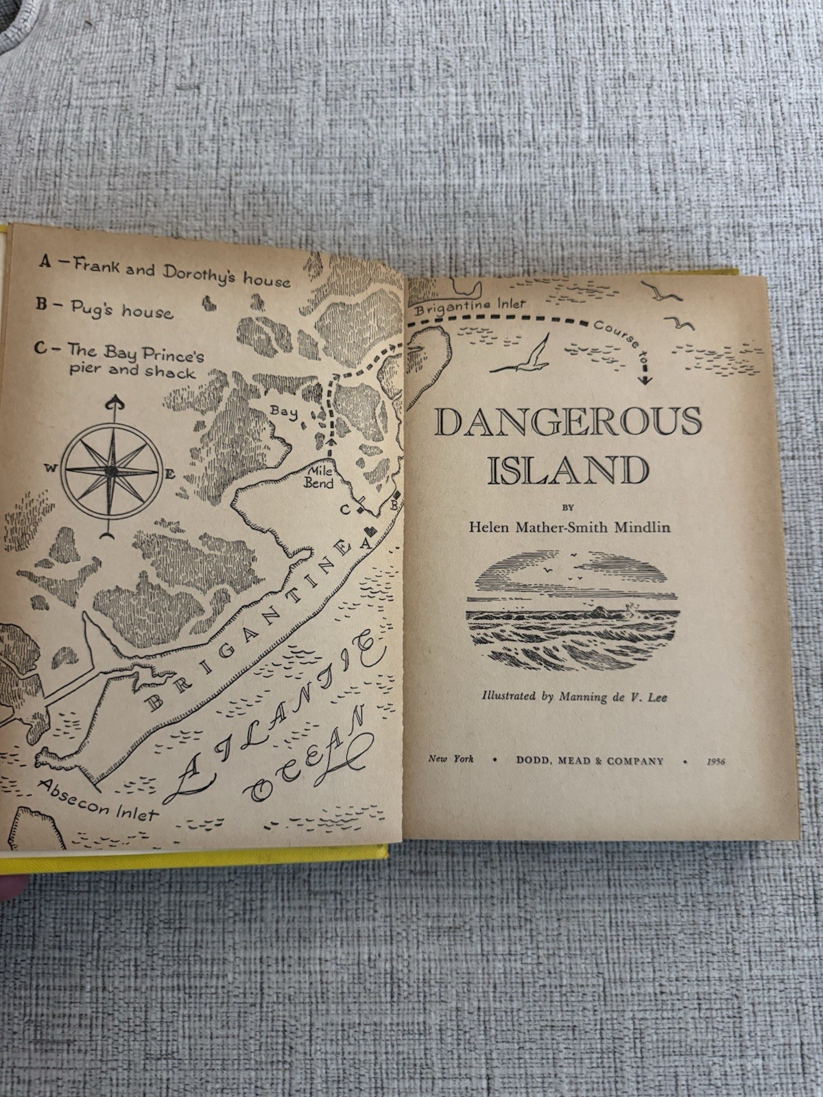 Dangerous Island Helen Mather-Smith Mindlin 1956 Weekly Reader HC