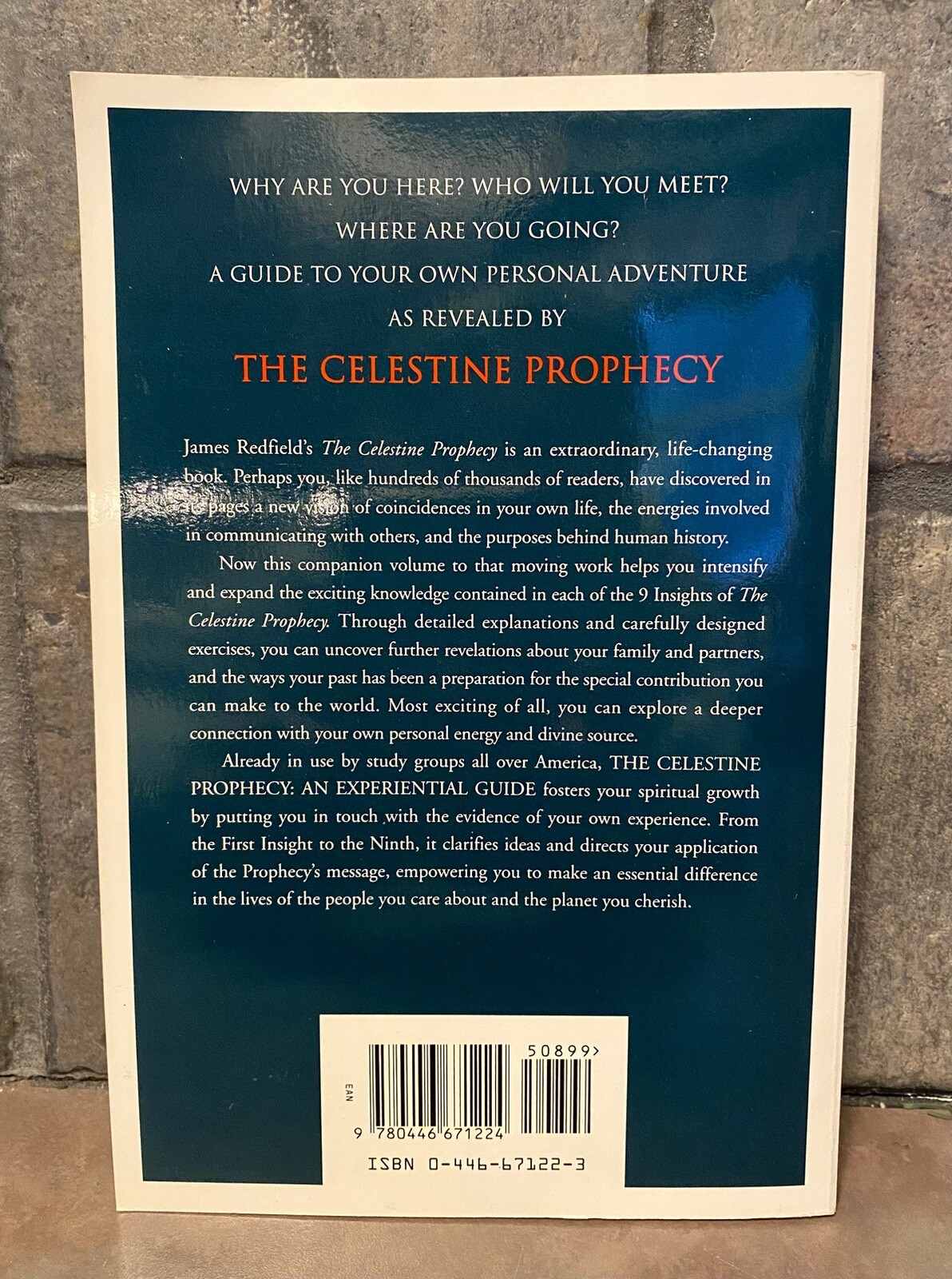 The Celestine Prophecy: AN EXPERIENTIAL GUIDE by James Redfield, Carol Adrienne