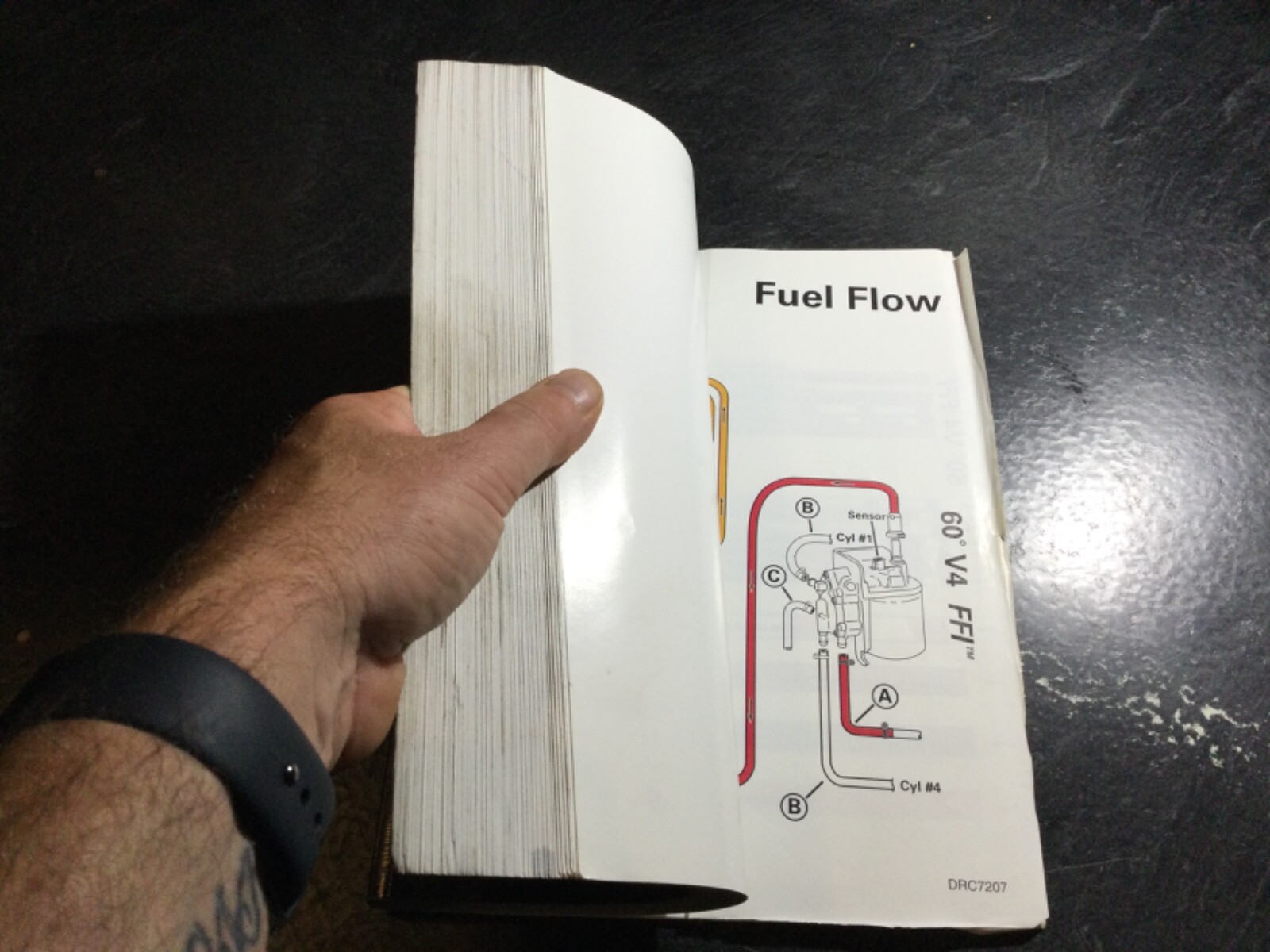 1999 Evinrude EE 90, 115, 150, 175 HP FFI V4 & V6 Outboard Service Manual 787024