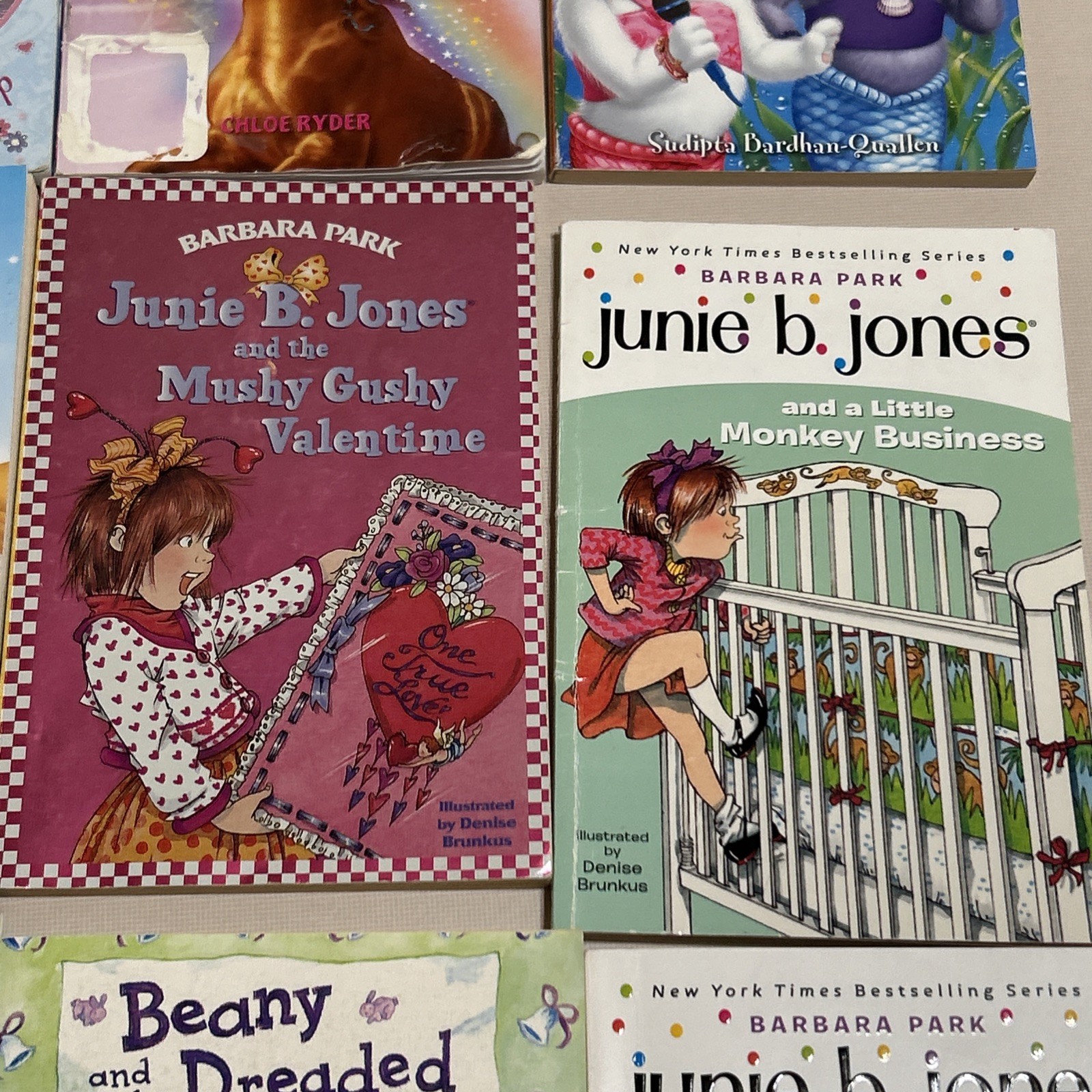 Lot Of 13 Chapter Books Girls Interest Grades 1st-3rd Ages 6-9 J