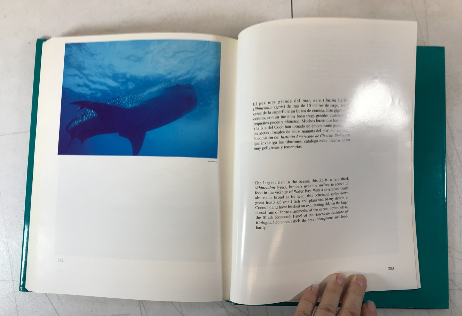 La Isla Del Coco, Christopher Weston 1992 (Spanish) E-106