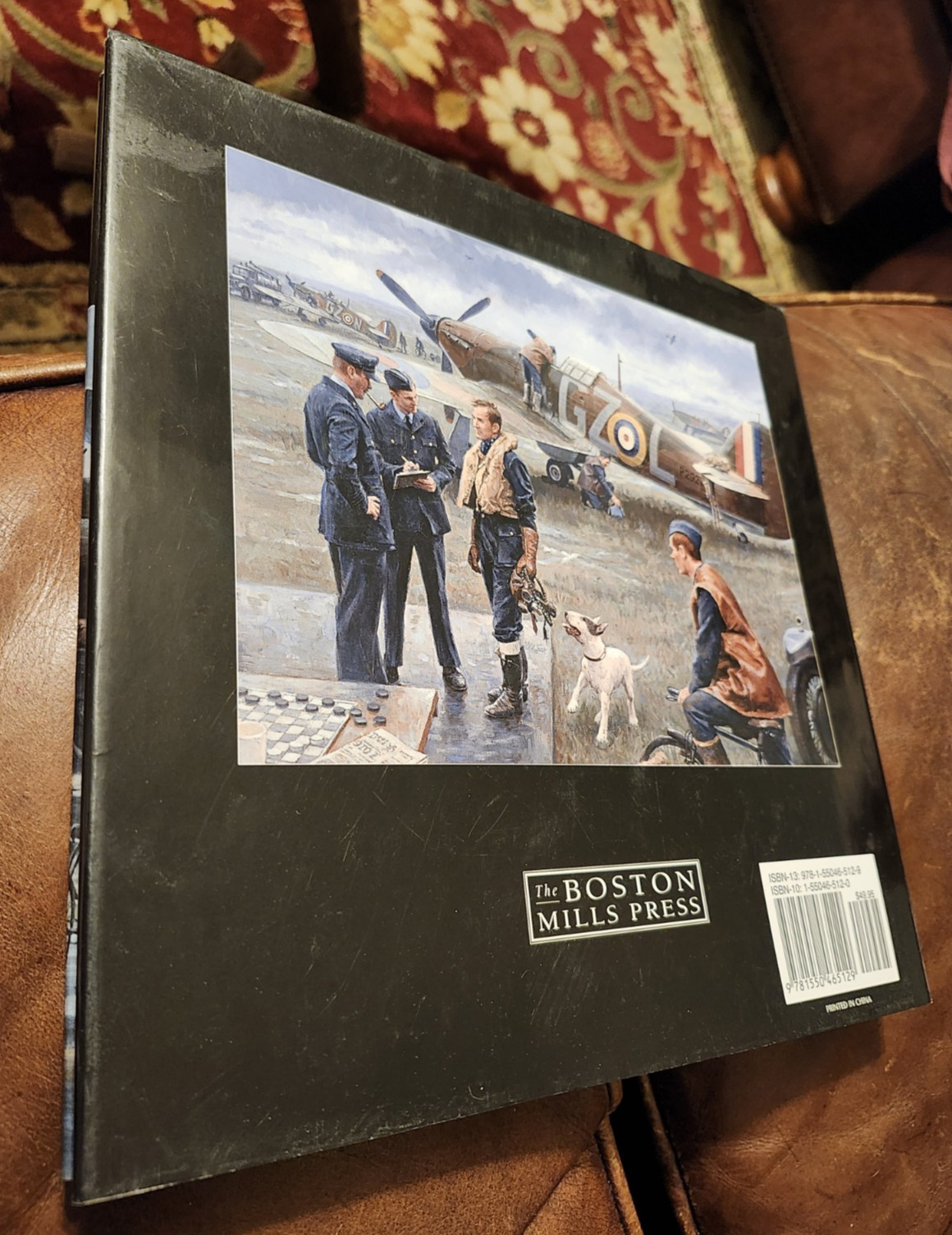 Gil Cohen, Aviation Artist, 1st, 2009, HBDJ, Color Illustrations, Nice!