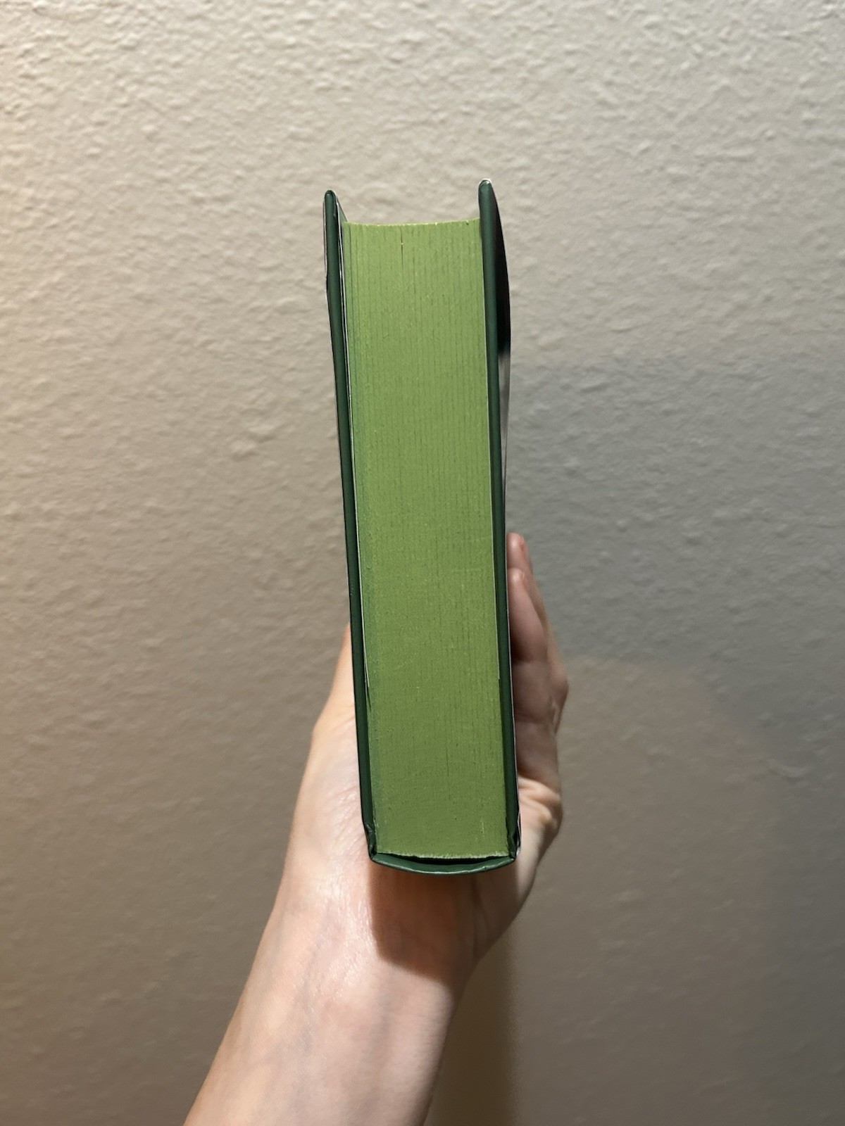The Cinnamon Bun Book Store Laurie Gilmore (TikTok Exclusive, Special Edition!)