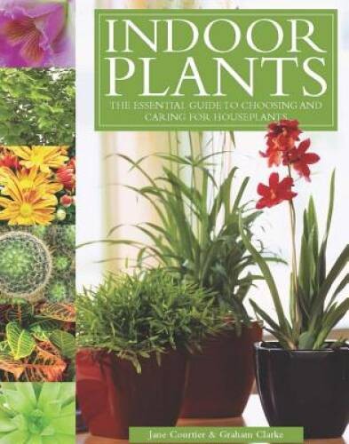 Indoor Plants: The Essential Guide to Choosing and Caring for – VERY GOOD