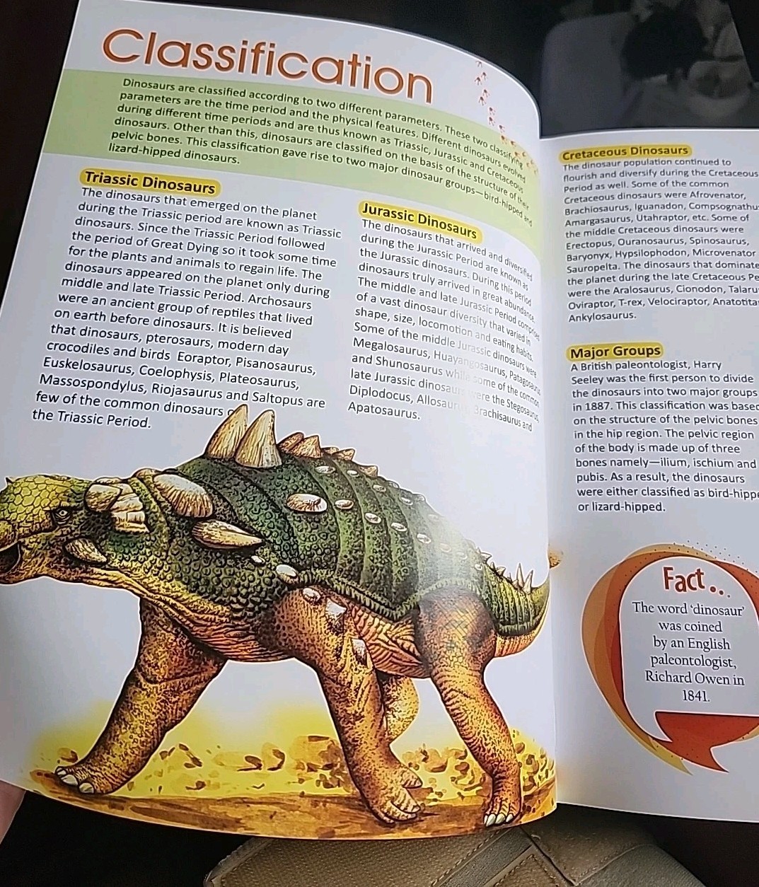 Childrens Encyclopedia of Dinosaurs Hard Cover Vision St Publishing Educational