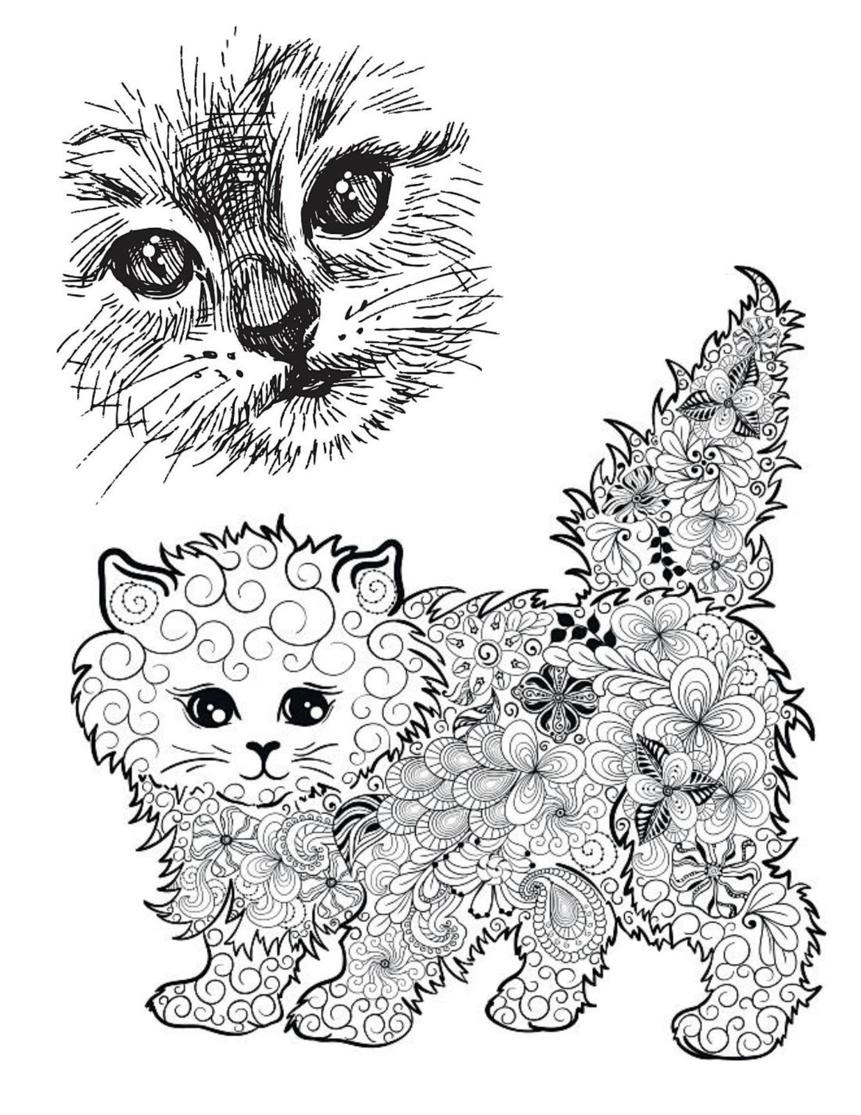 Color the Cats Adult coloring book 108 Pages 8.5 x 11 for All Ages