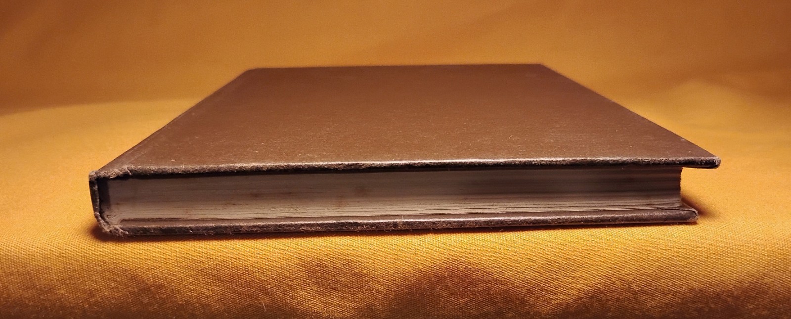 the Stone Door Leonora Carrington St. Martin’s Press 1977 HCDJ 1st U.S. edition