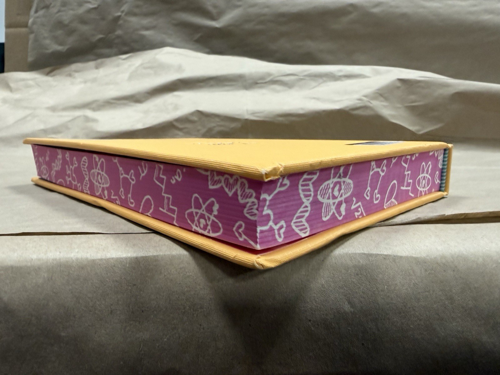 Ali Hazelwood – The Love Hypothesis Hardcover SEE DESCRIPTION